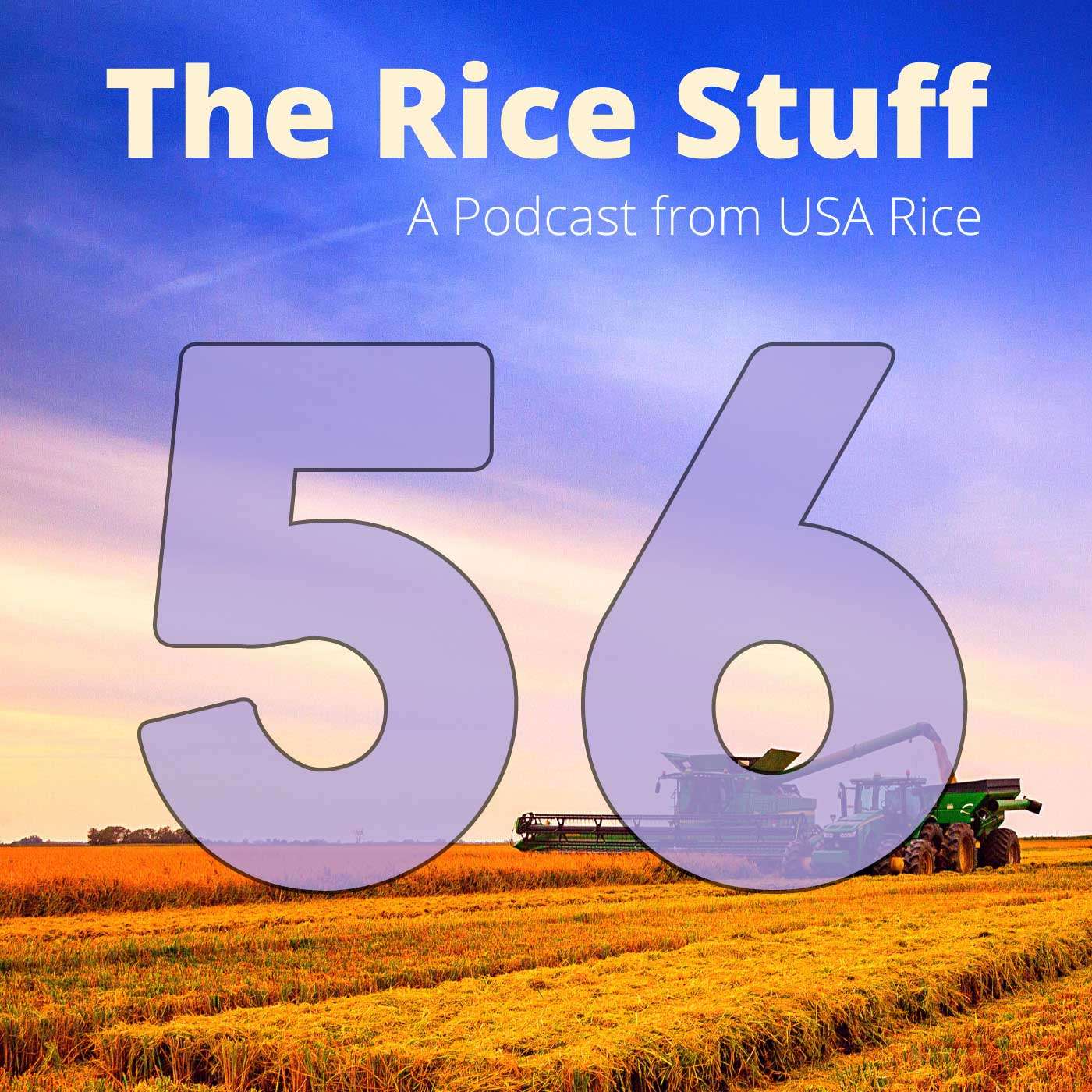 The Rice Stuff