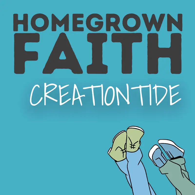 Creationtide – Whale Backs, Widgeons & Bat Flattery