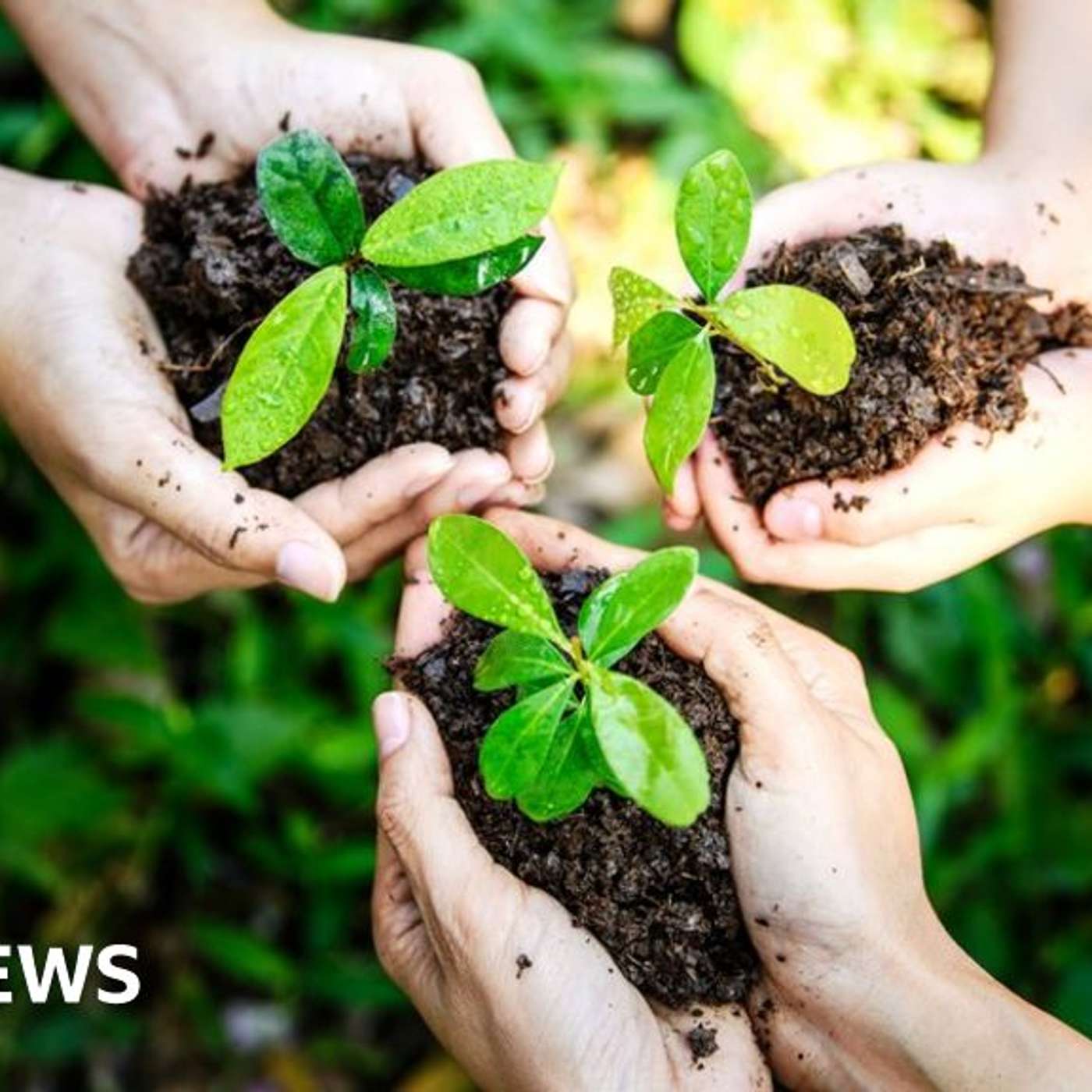 Global Call for Plastic Cuts, Trump's Trial Begins, Germany Busts Alleged Chinese Spies, Netanyahu Vows Assault on Hamas, and more...