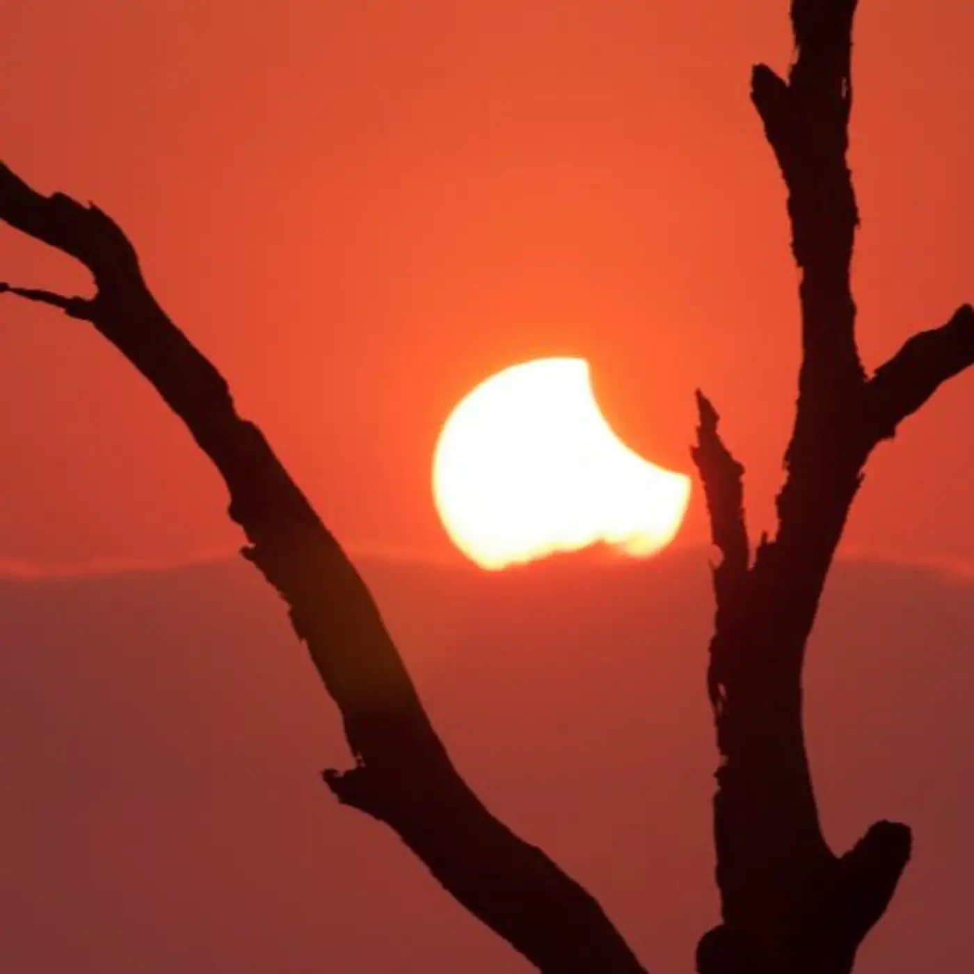 The Art Of Predicting With Anthony Aguirre And Andrew Critch