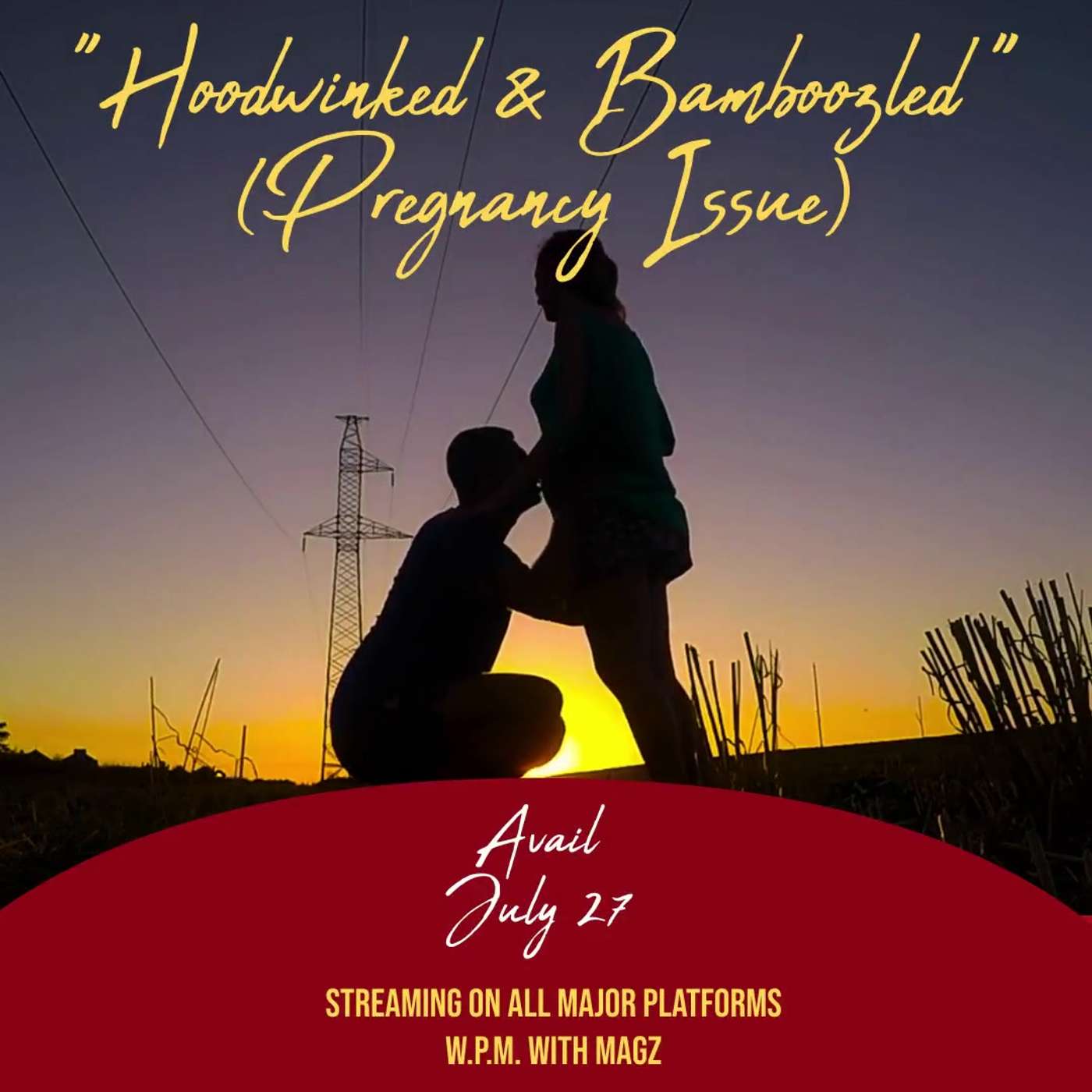 Hoodwinked and Bamboozled (Pregnancy Issue) episode artwork