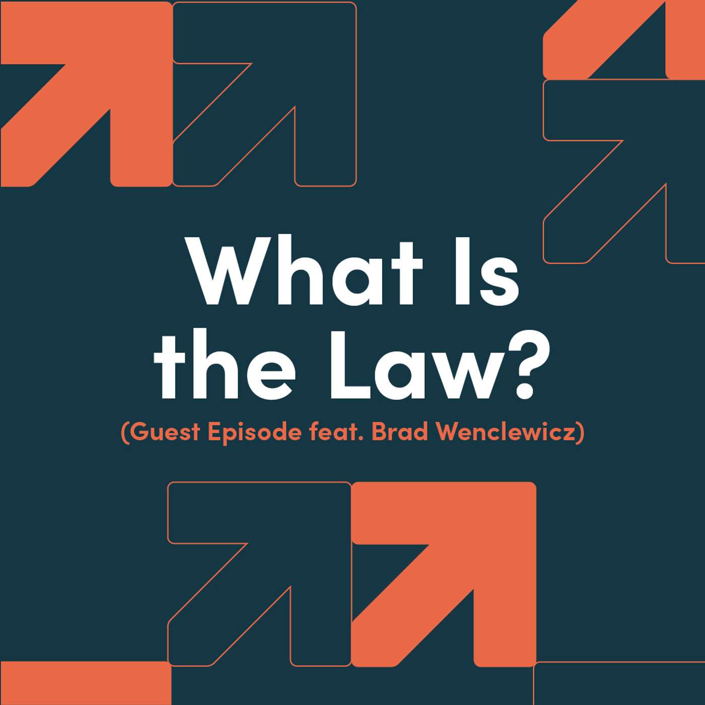 What Is the Law? (Guest Episode feat. Brad Wenclewicz) episode artwork