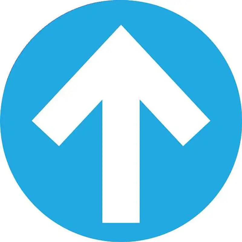 The Innovative Revenue Leader