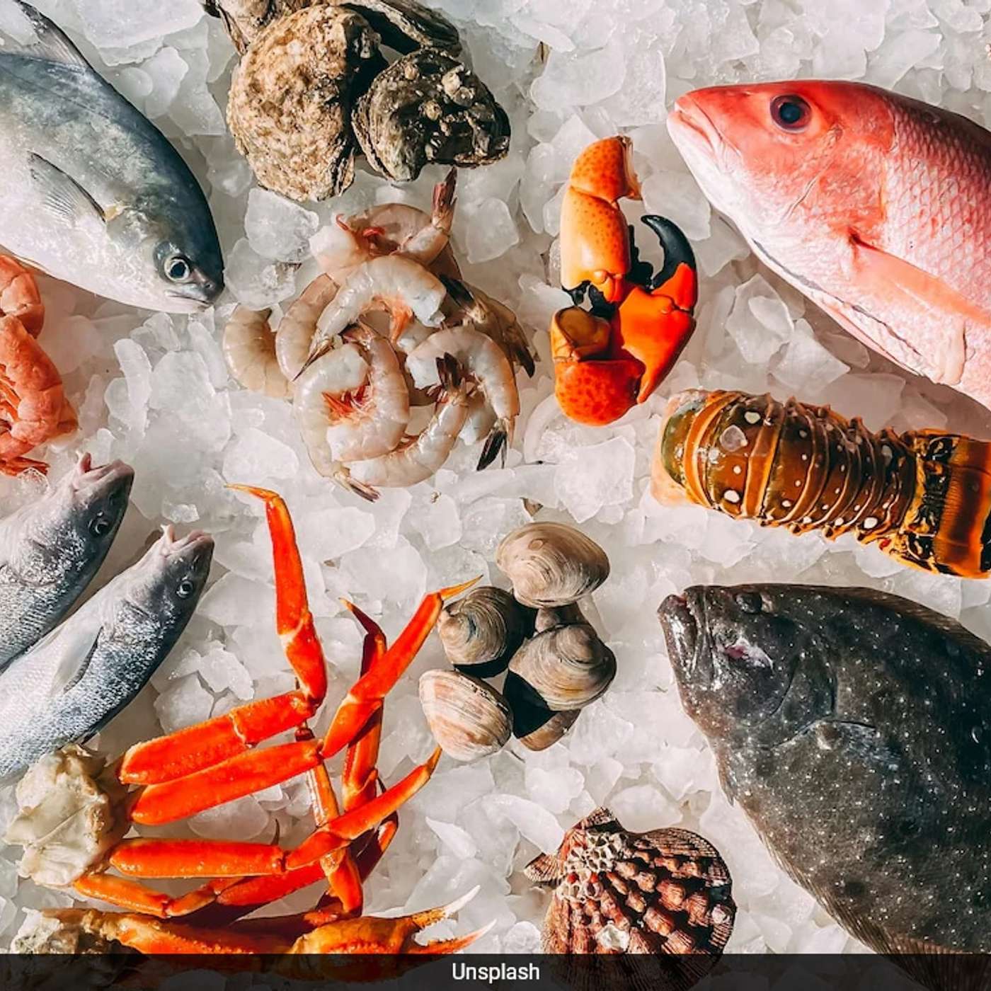 Immune Cell Architects Win Award, Hugs and Massages Boost Health, H5N1 Bird Flu in US, High PFAS Levels in NH Fish, and more...