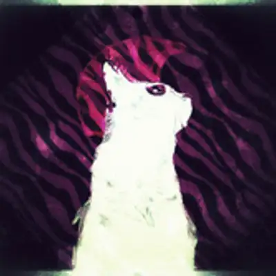 image of podcast supporter