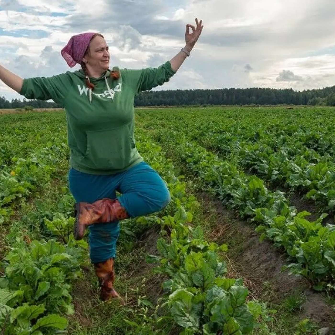 “Иноагентам” в Карелии запретили становиться сельскими старостами