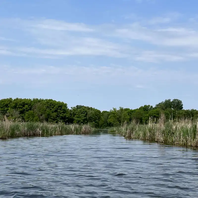 Stop 6: Meuwissen Creek