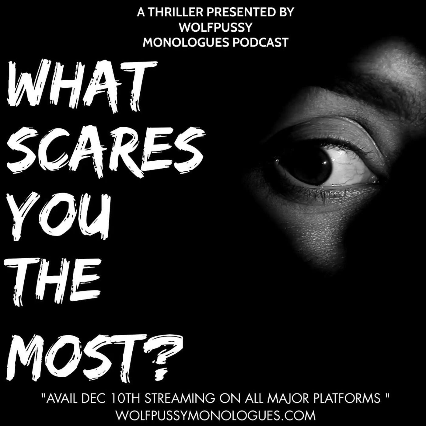 What Scares You The Most? episode artwork