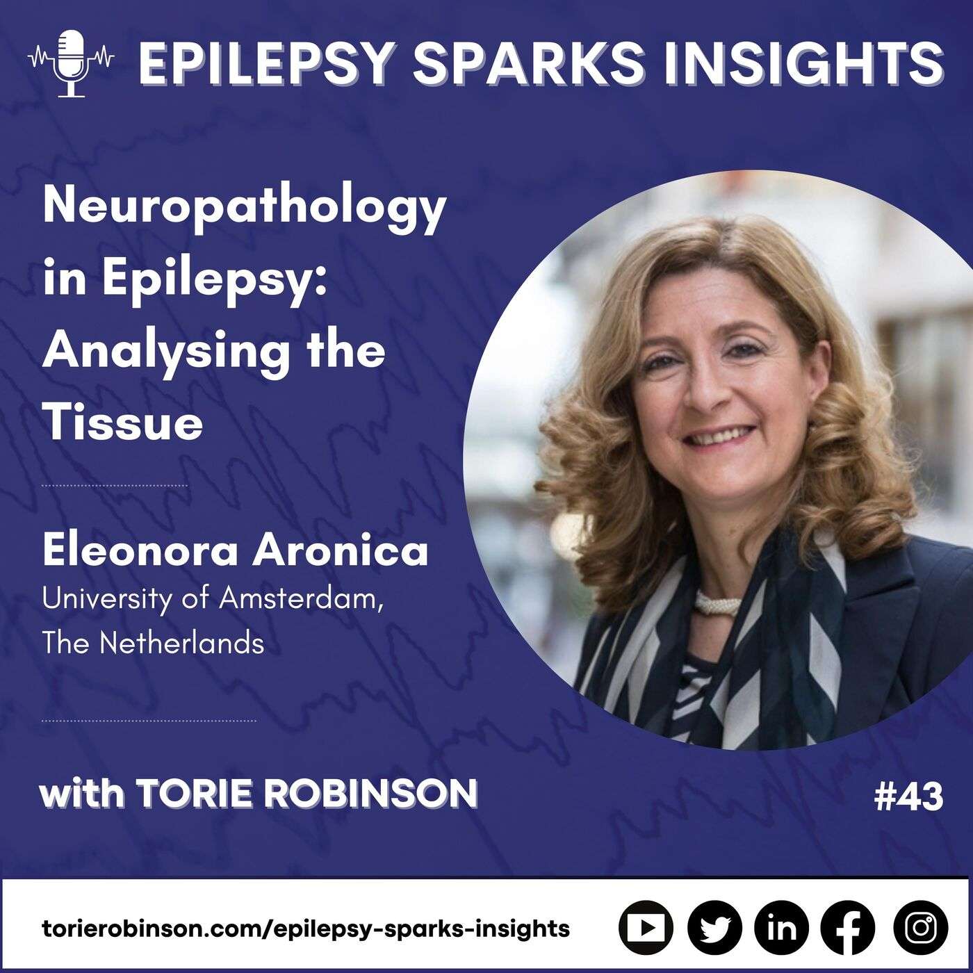 Neuropathology In Epilepsy: Analysing That Tissue - Eleonora Aronica - University of Amsterdam, The Netherlands episode artwork