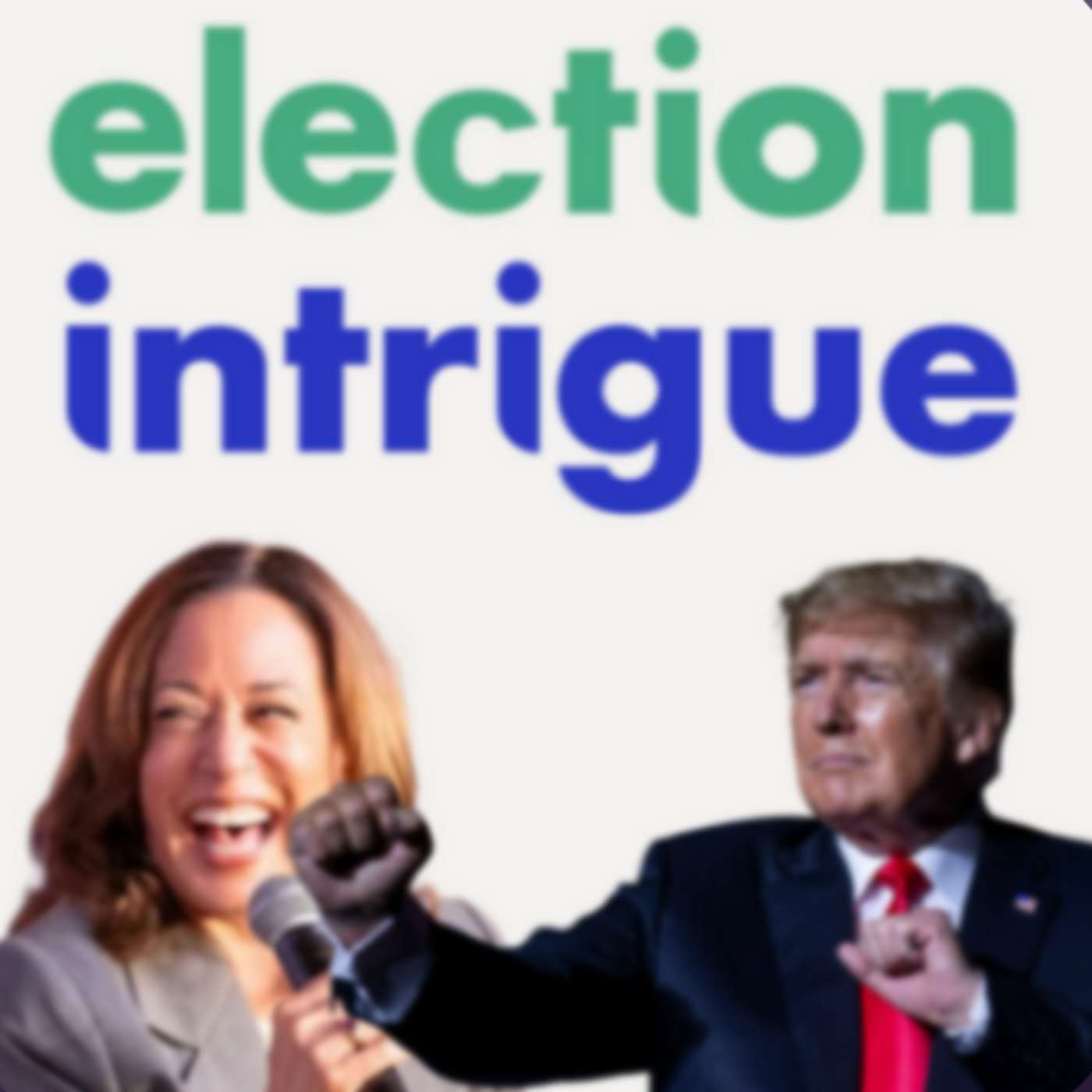 🗳️ Foreign Interference 🗳️ Foreign Interference