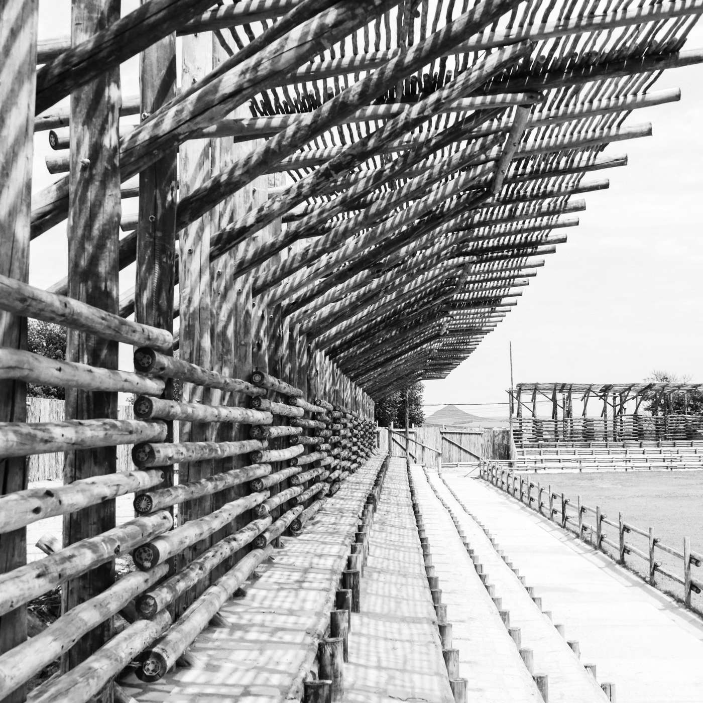 The Architecture of Scarcity