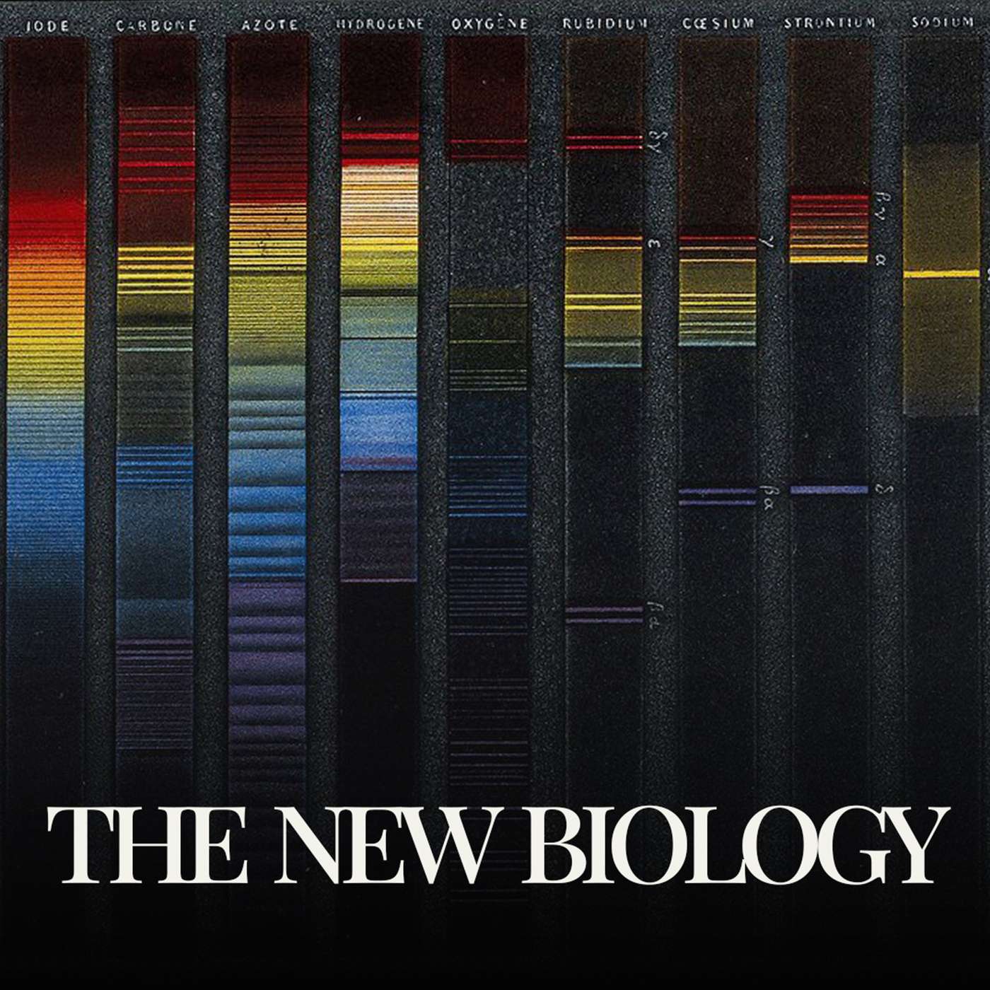 The New Biology