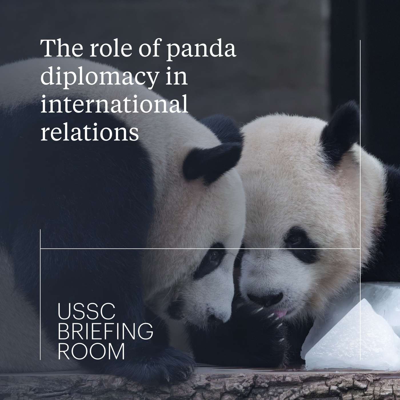 The role of panda diplomacy in international relations