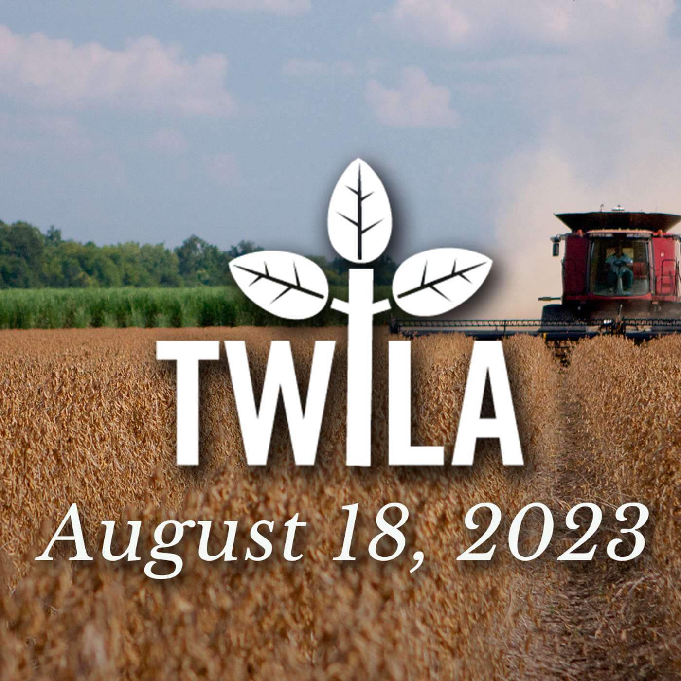 TWILA - 8-18-23 episode artwork