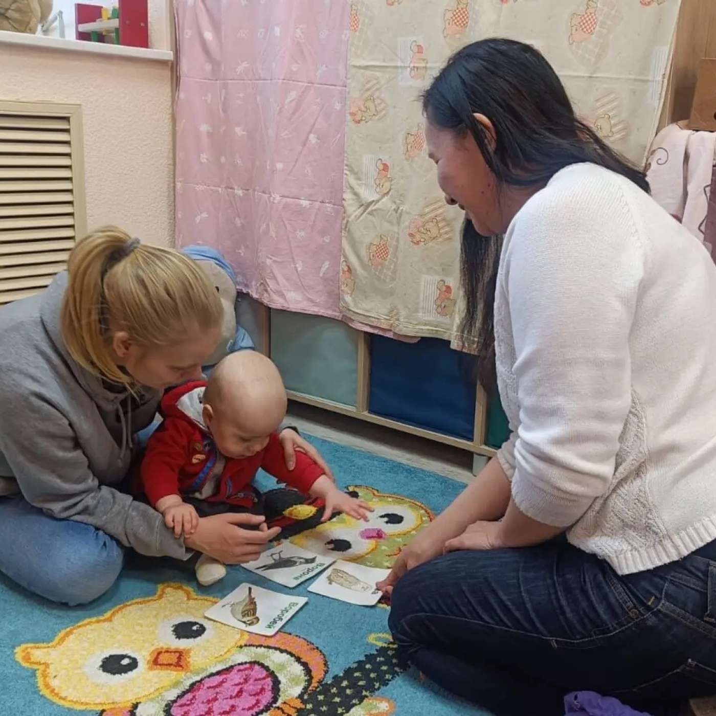 Единственный в Карелии шелтер для жертв домашнего насилия может закрыться