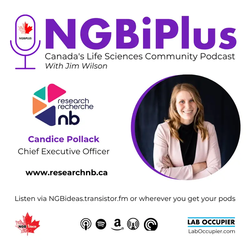 NGBiPlus S2.E4: ResearchNB