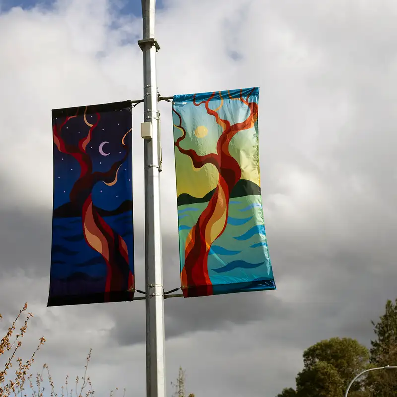 Nanaimo youth, youngest artist to be selected for City’s street banners