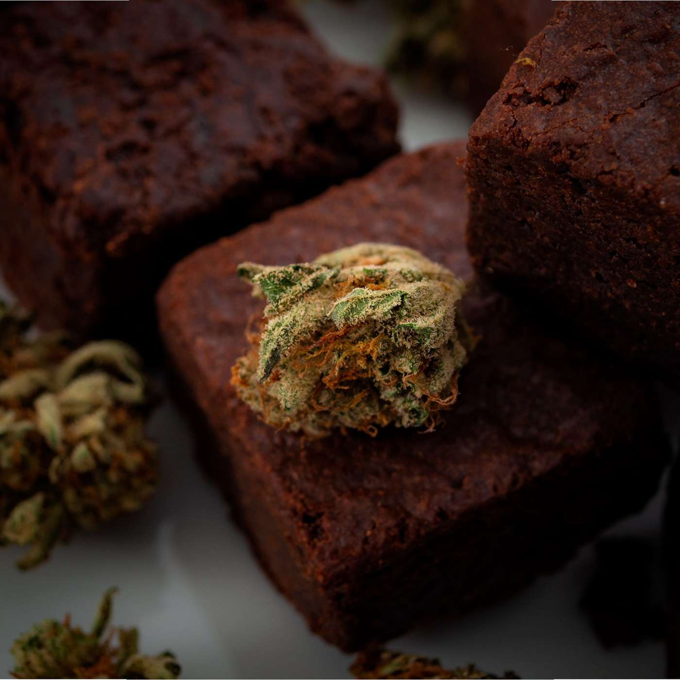 The chocolate edible The chocolate edible