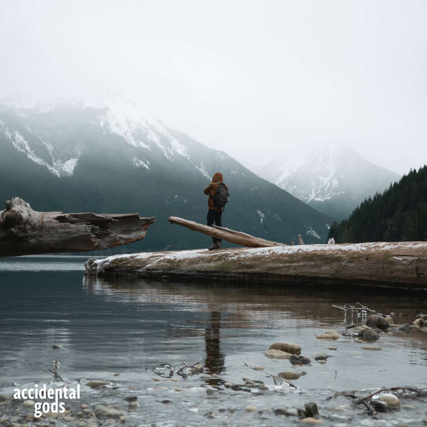 Conscious Evolution: The time is now. A conversation with Rob Cobbold