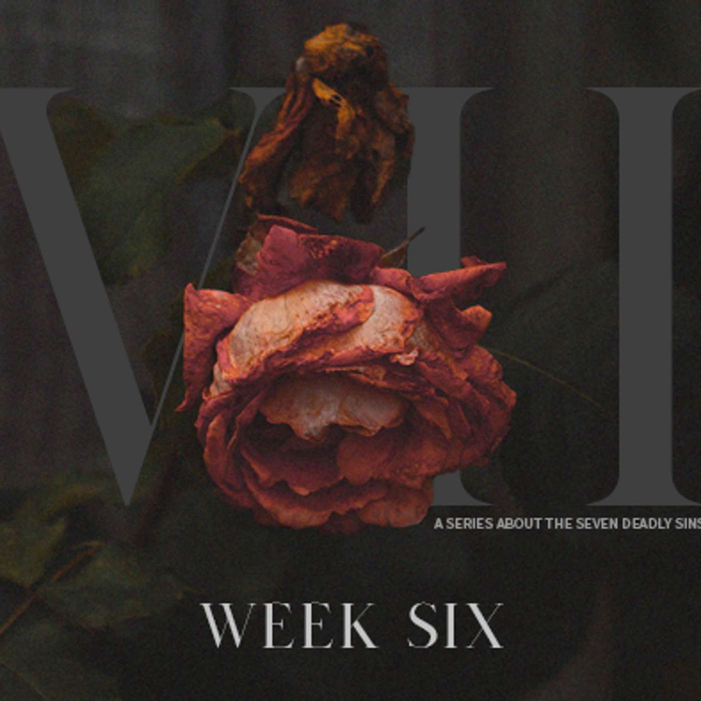 The Seven - Week Six