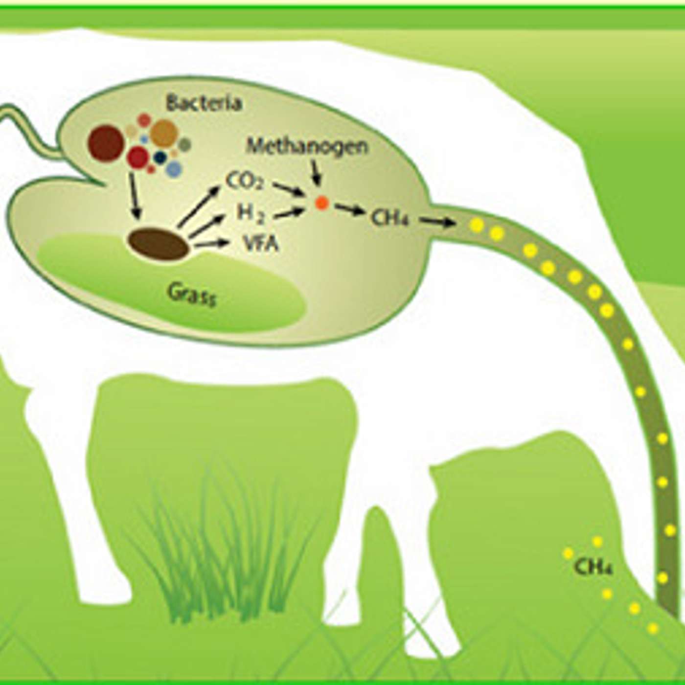 How to reduce emissions while maintaining milk output and profit