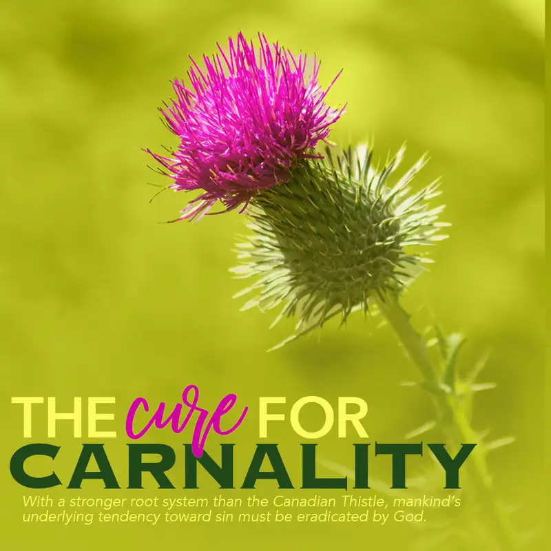 The Cure for Carnality