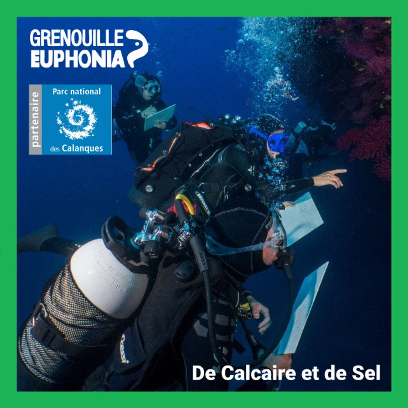 De calcaire et de sel | Observatoire du climat : Plonger et observer