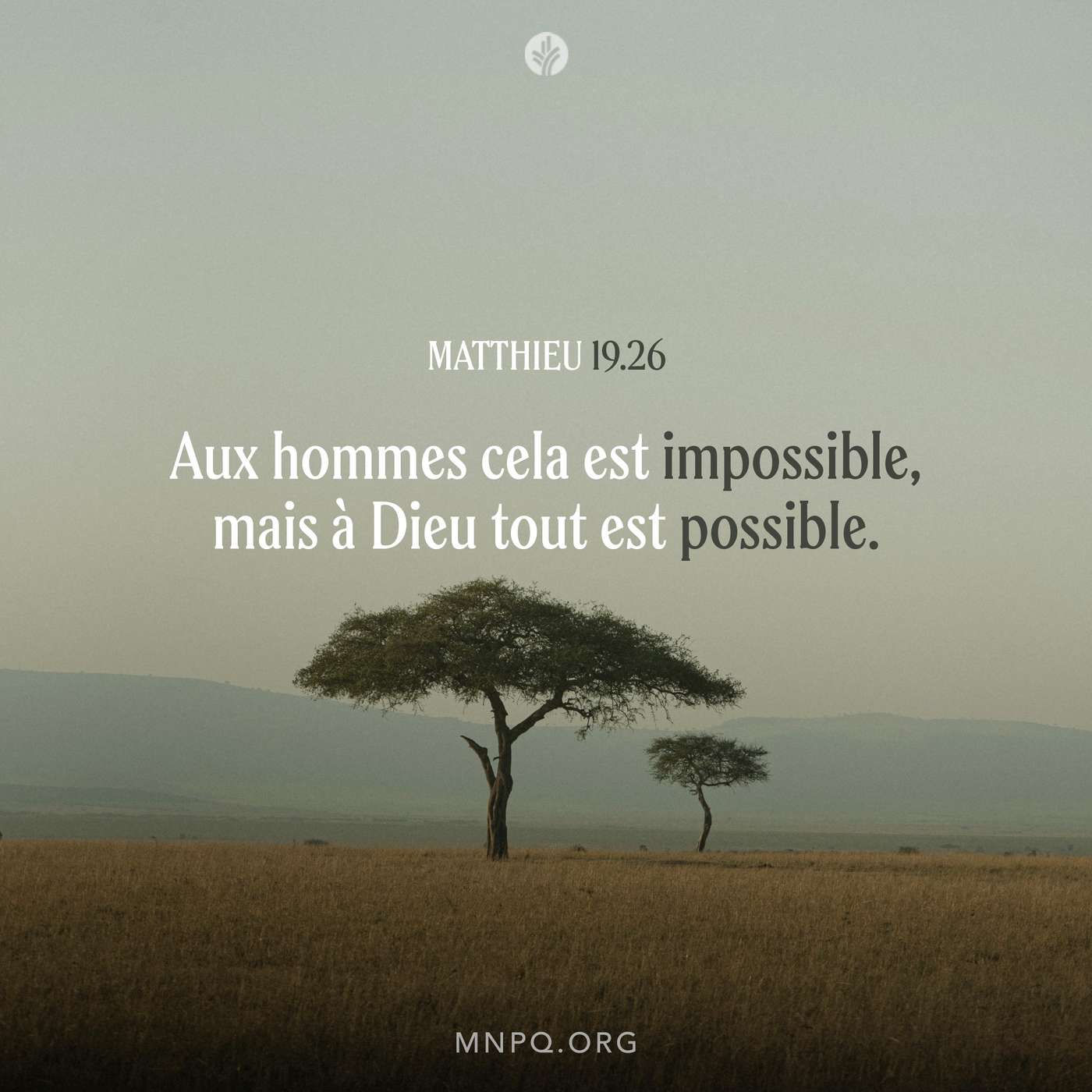Une foi enracinée en Dieu episode artwork