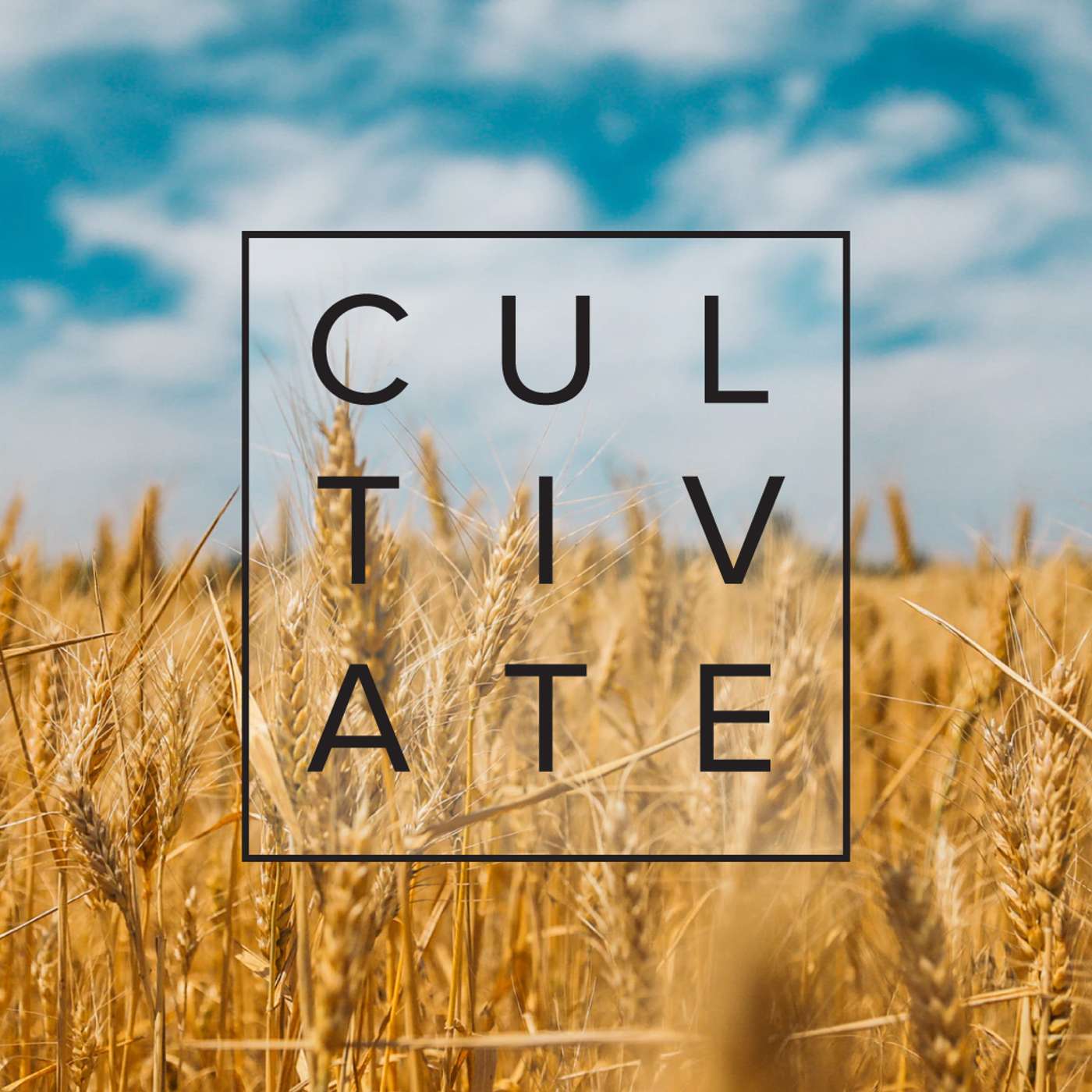 Cultivate // How Do I Fill My Meaning Bucket? - Zach Daniel episode artwork