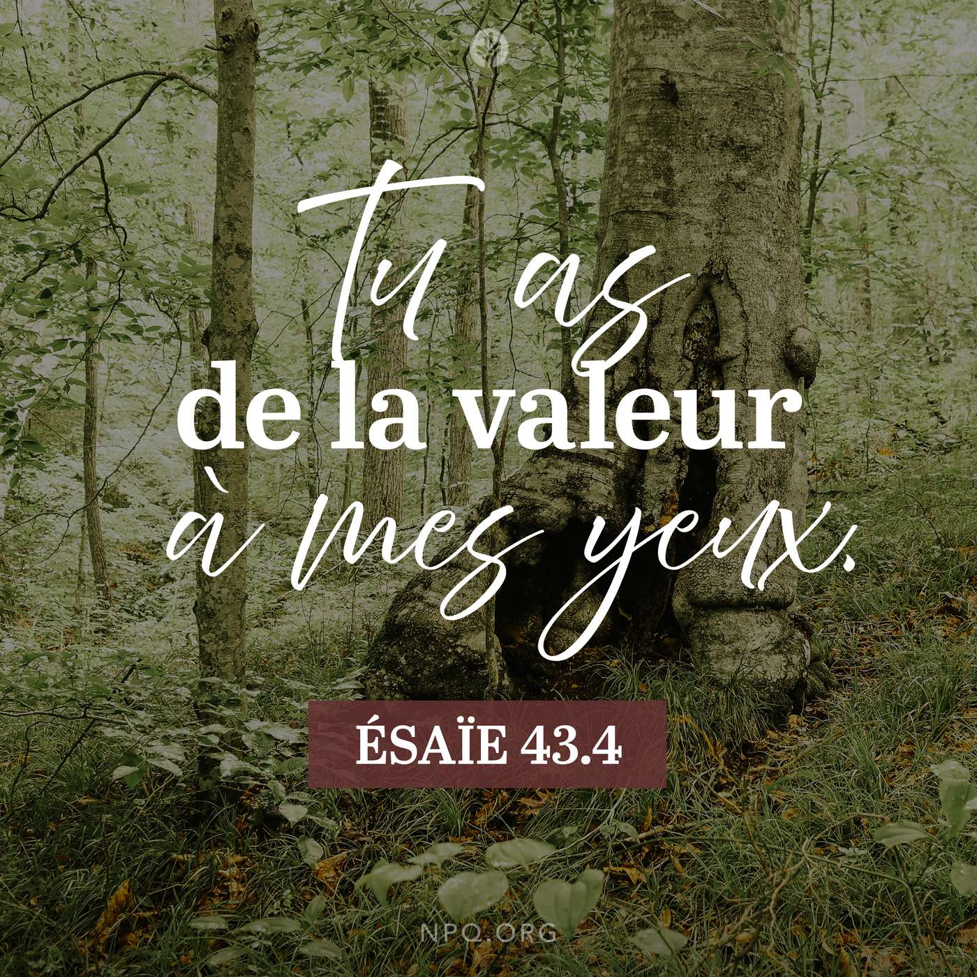 Précieux aux yeux de Dieu episode artwork