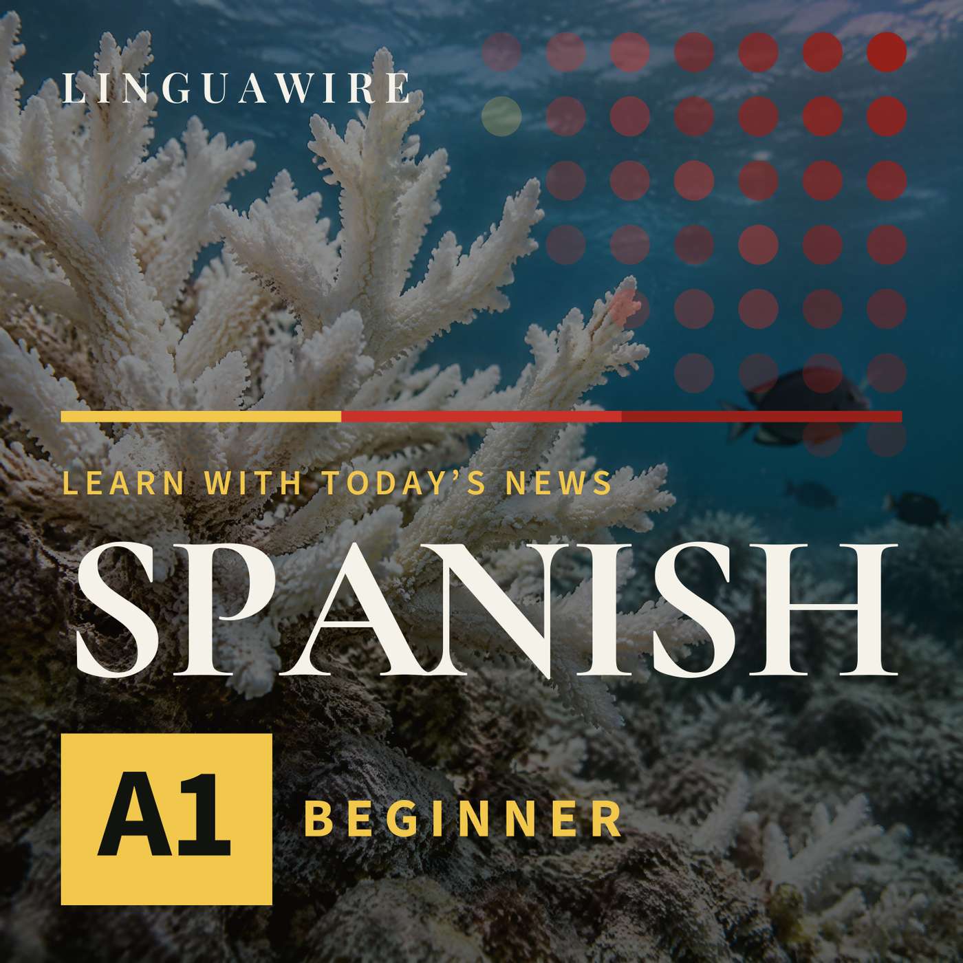 A1 Spanish News | Coral Reefs Face a Major Threat by 2075