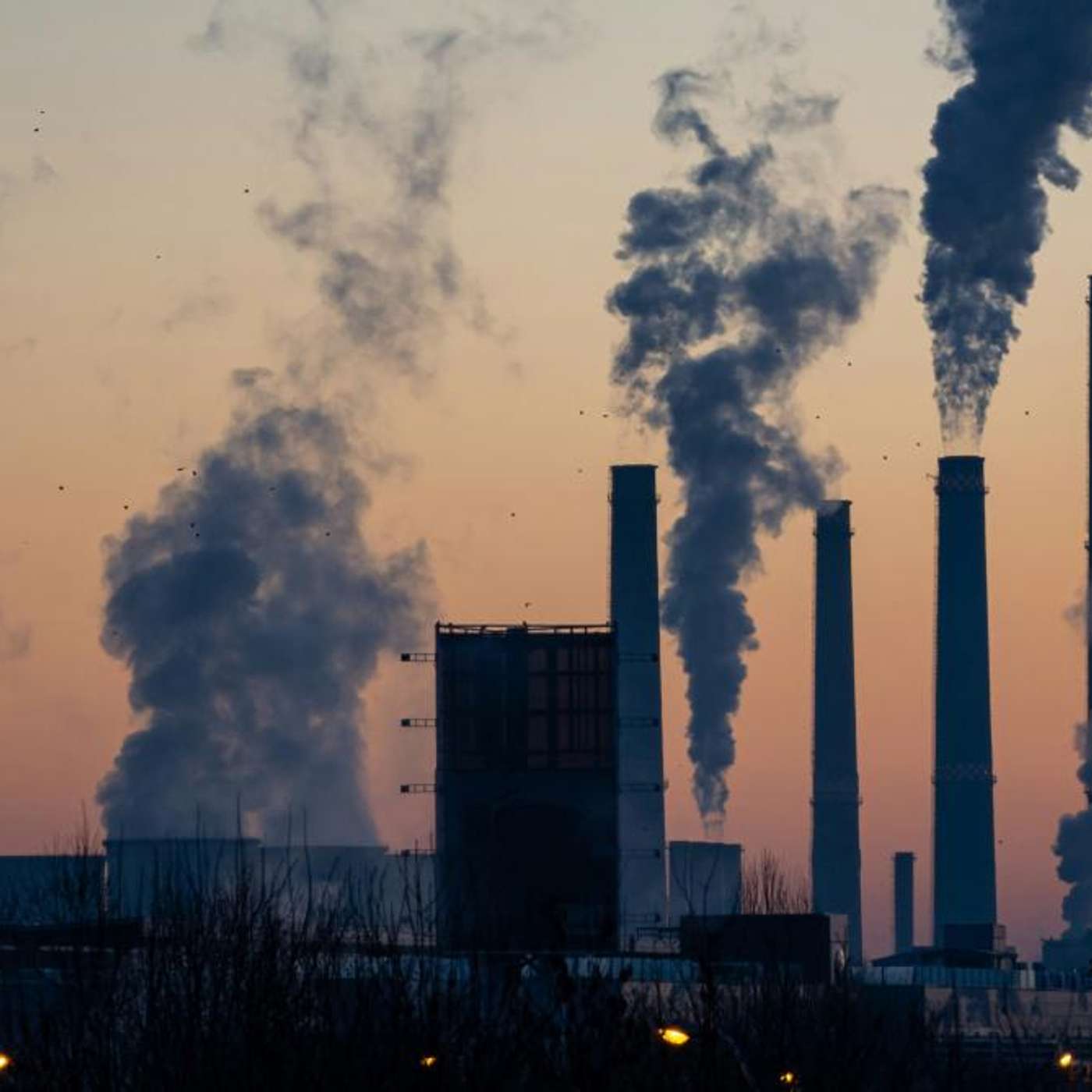 AfD Fires Schmidt Amid Corruption Scandal, EU Tightens Pollution Rules, Nordic Paradox Exposed Violence, UK Bans Afghan Visa Applicants, and more...