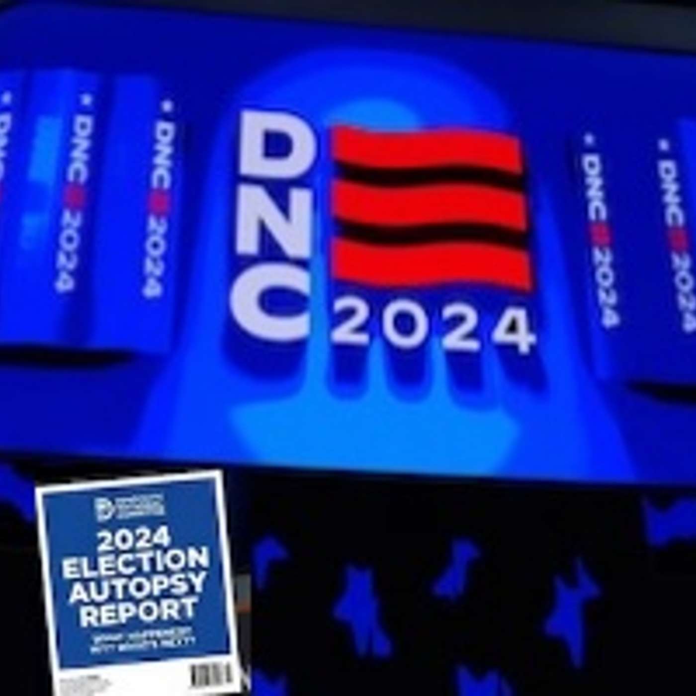 DNC Autopsy Report Offers Few Answers for Kamala Harris and Her Party’s 2024 Loss Interview with Sam Rosenthal, political director of Roots Action, conducted by Scott Harris episode artwork