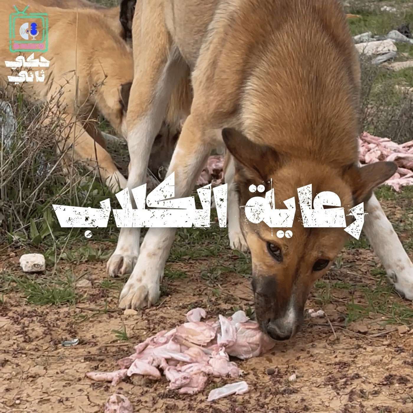 رعاية الكلاب episode artwork
