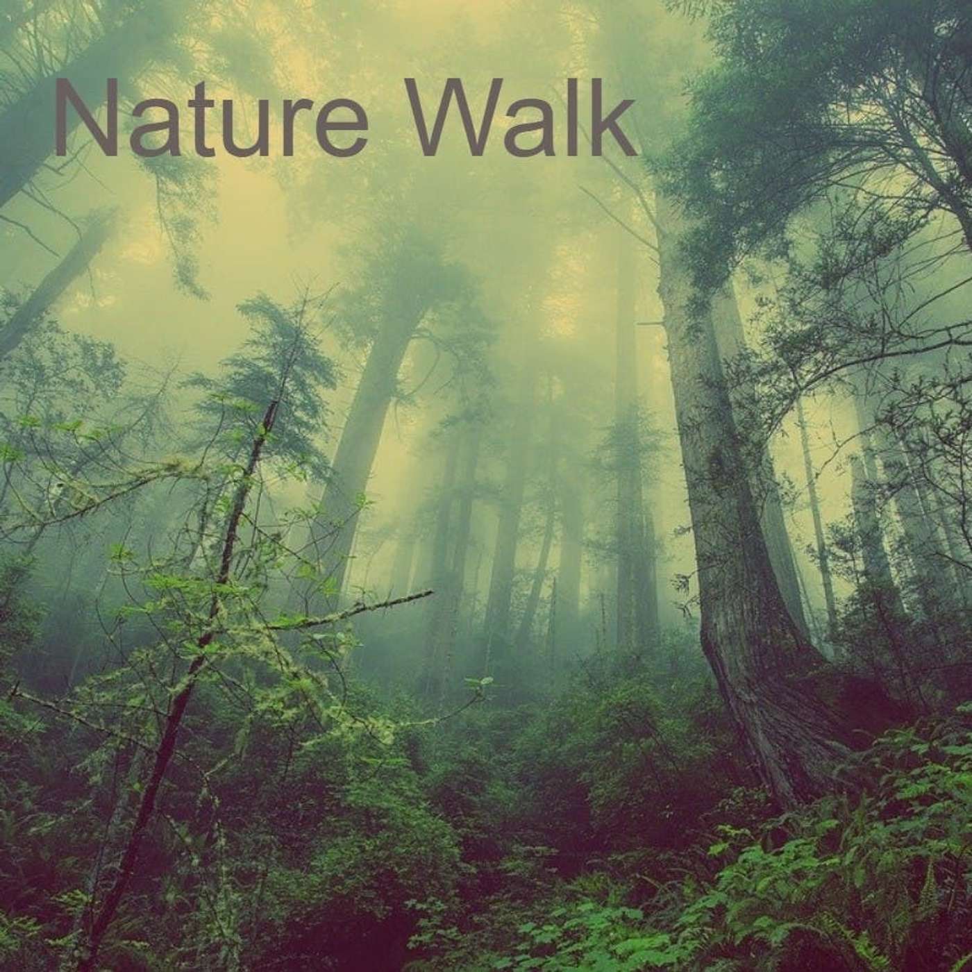 Nature and Science 4 Kids