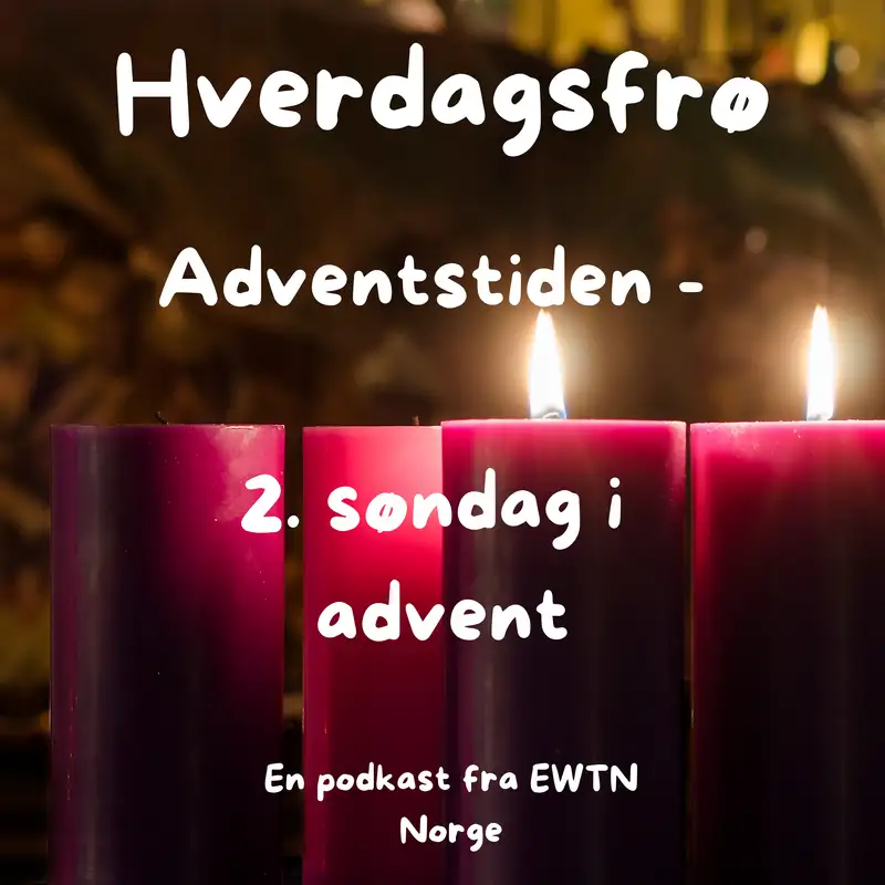 2. søndag i advent | Hverdagsfrø