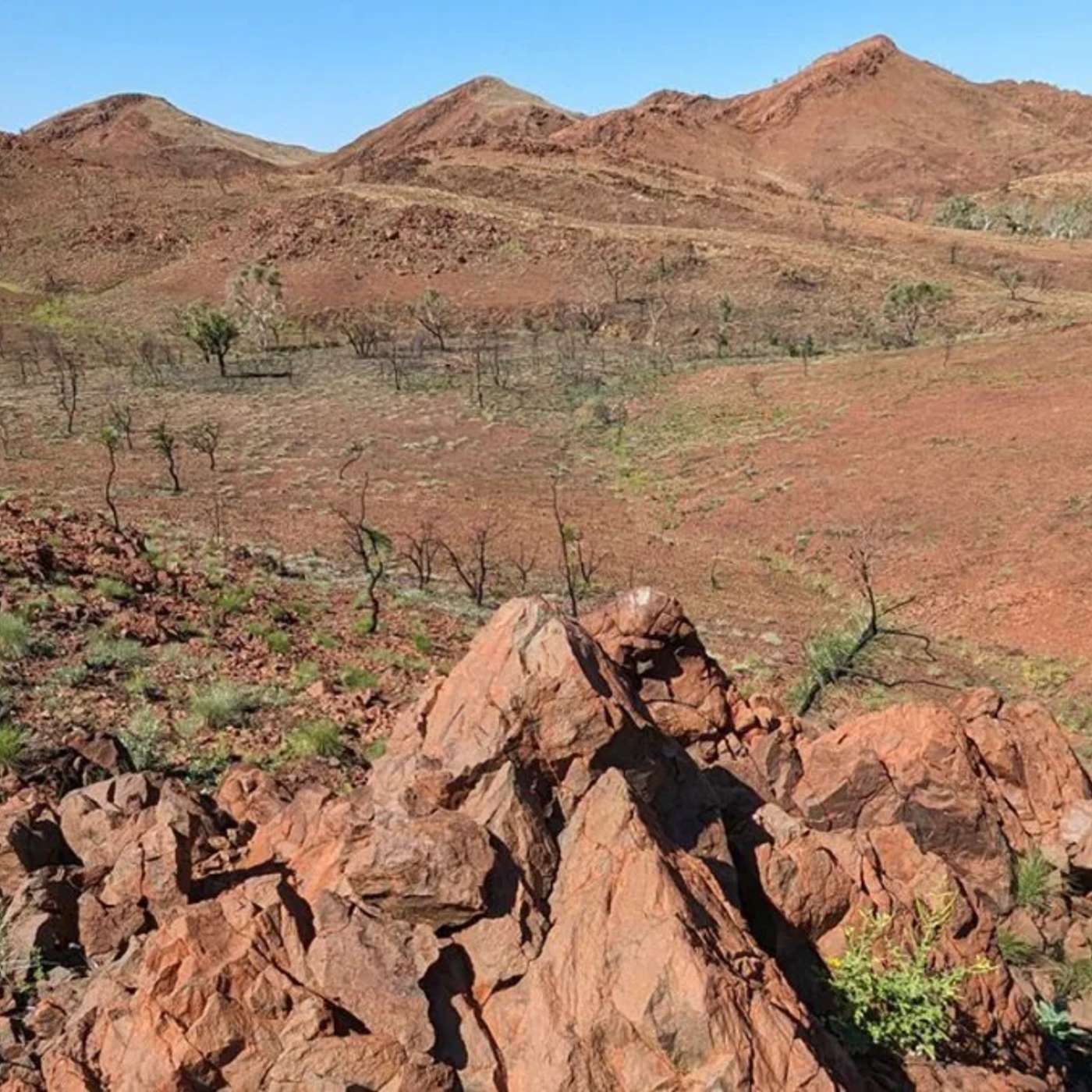 Nasal Surgery Restores Smell for Long Covid, Oldest Meteorite Crater Found, Mars Sample Return Tackles Contamination, Study Links PCOS to Heart Risks, and more...