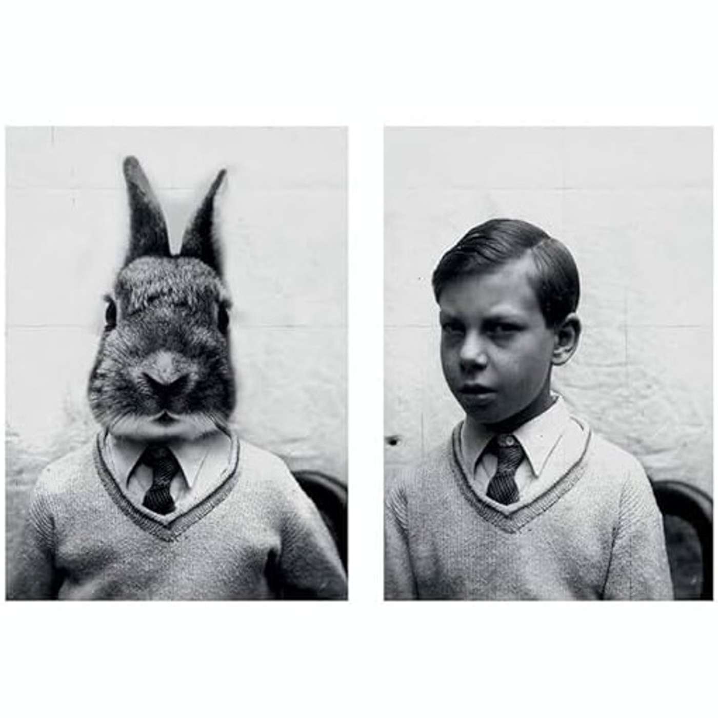 La Grande Illusion I Jeunesse