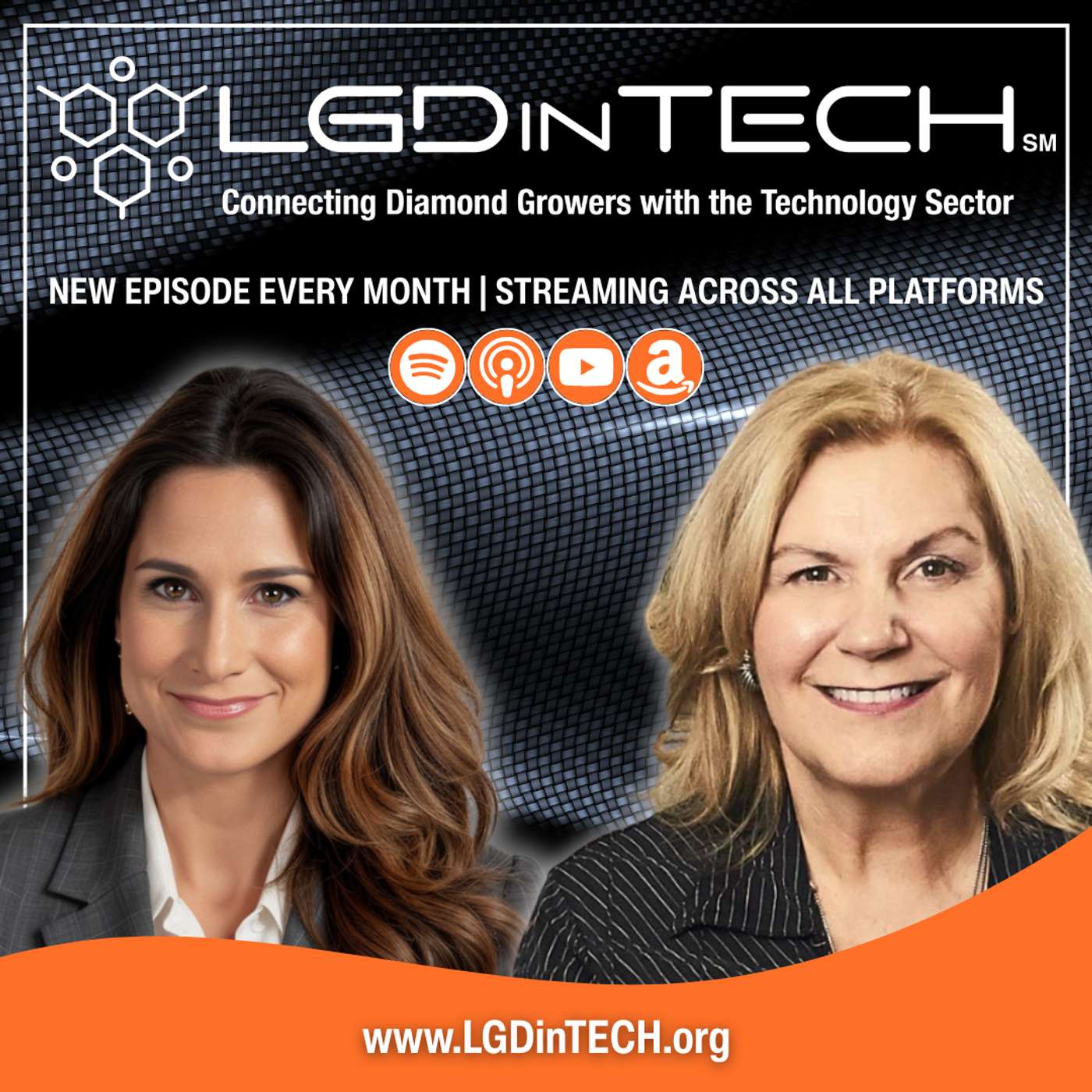 LattiSpec Insights