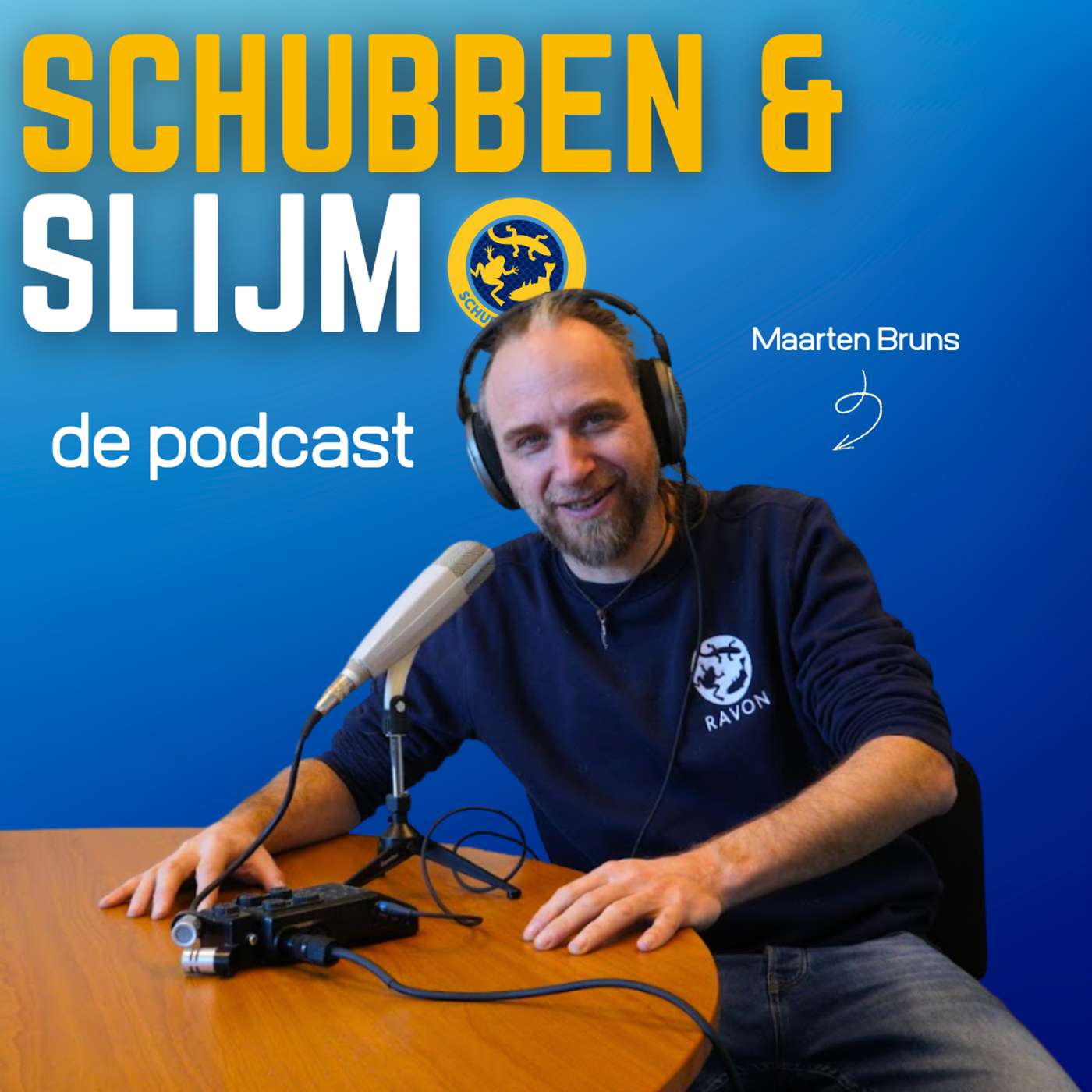 Podcast Image
