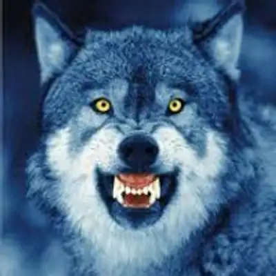 Silent Wolf