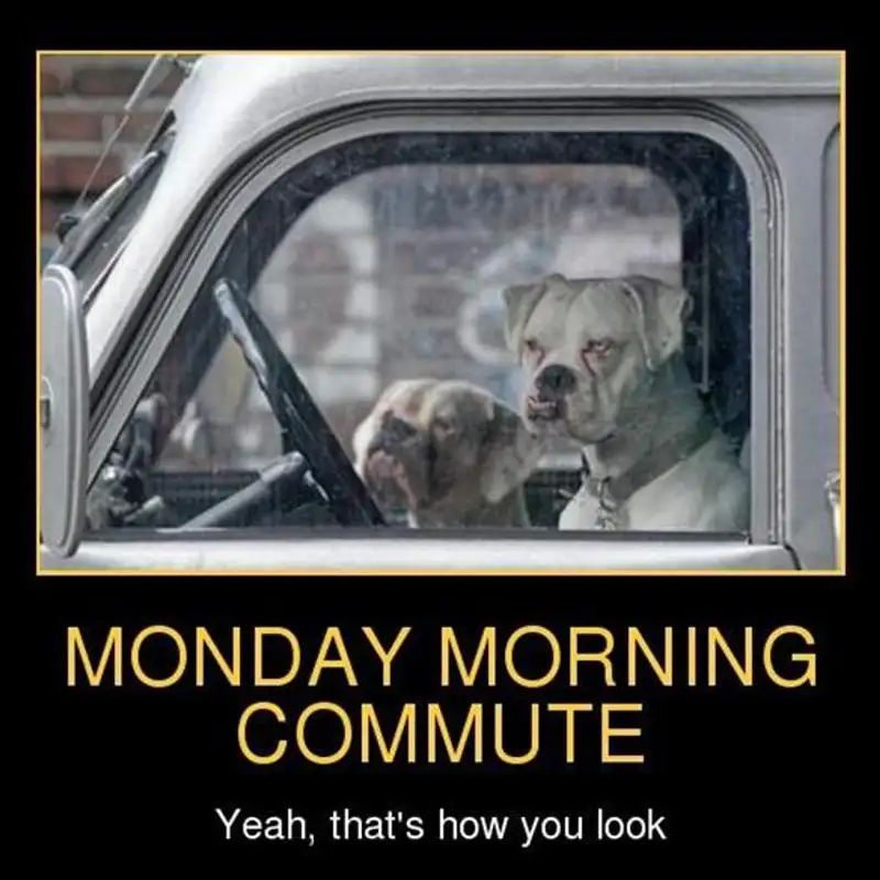 Well Hello, Monday Morning Commuters! 