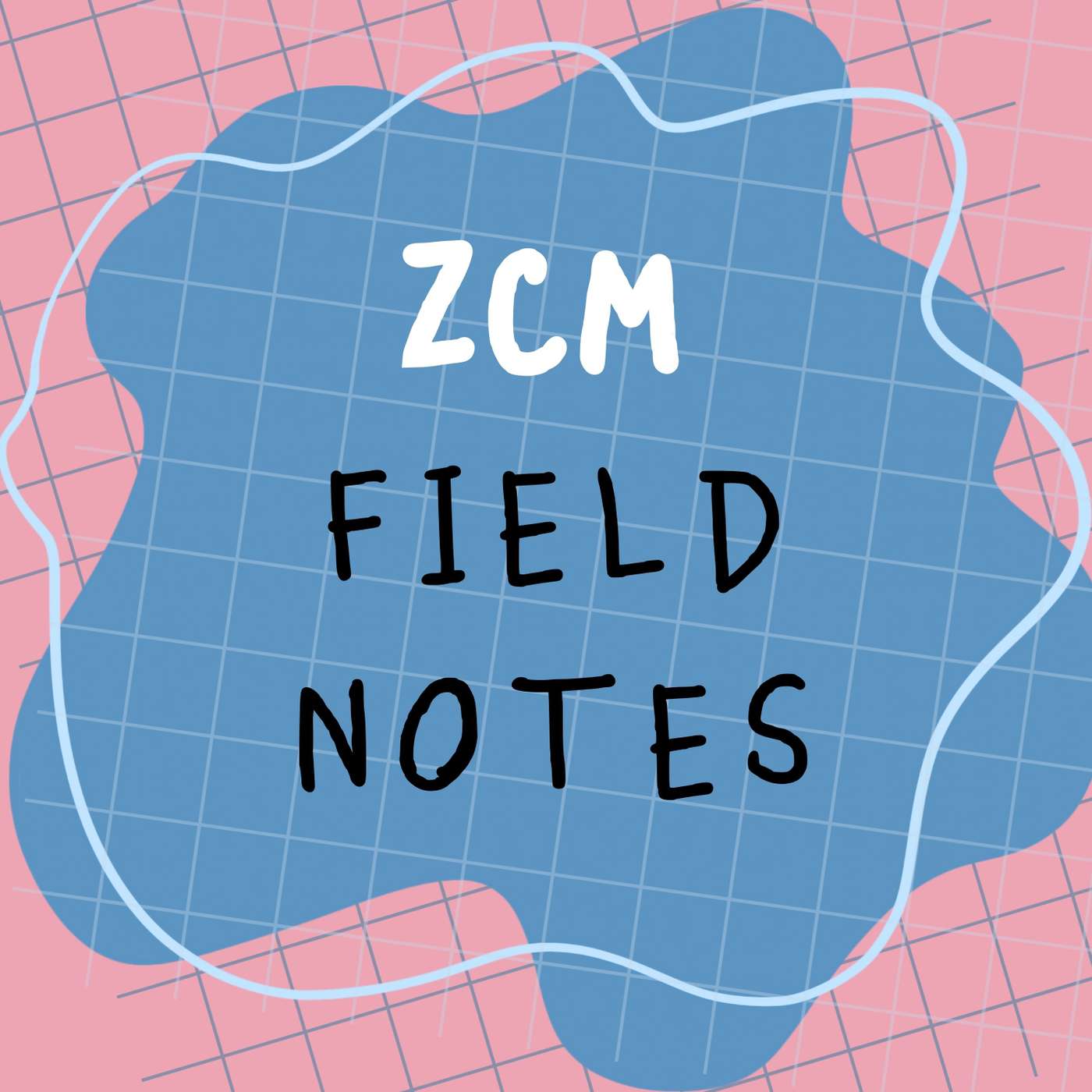 ZCM Field Notes: Search Is Now an Evidence Game (Ugh, Thanks, AI)