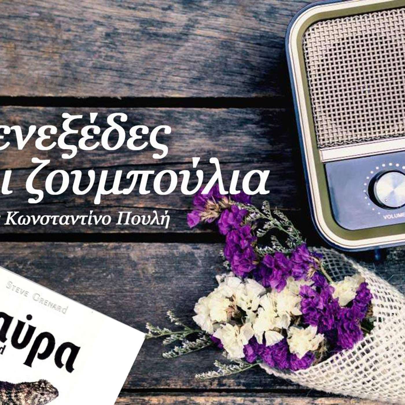 Μενεξέδες και Ζουμπούλια (26 Ιουλίου 2024): Σαύρες