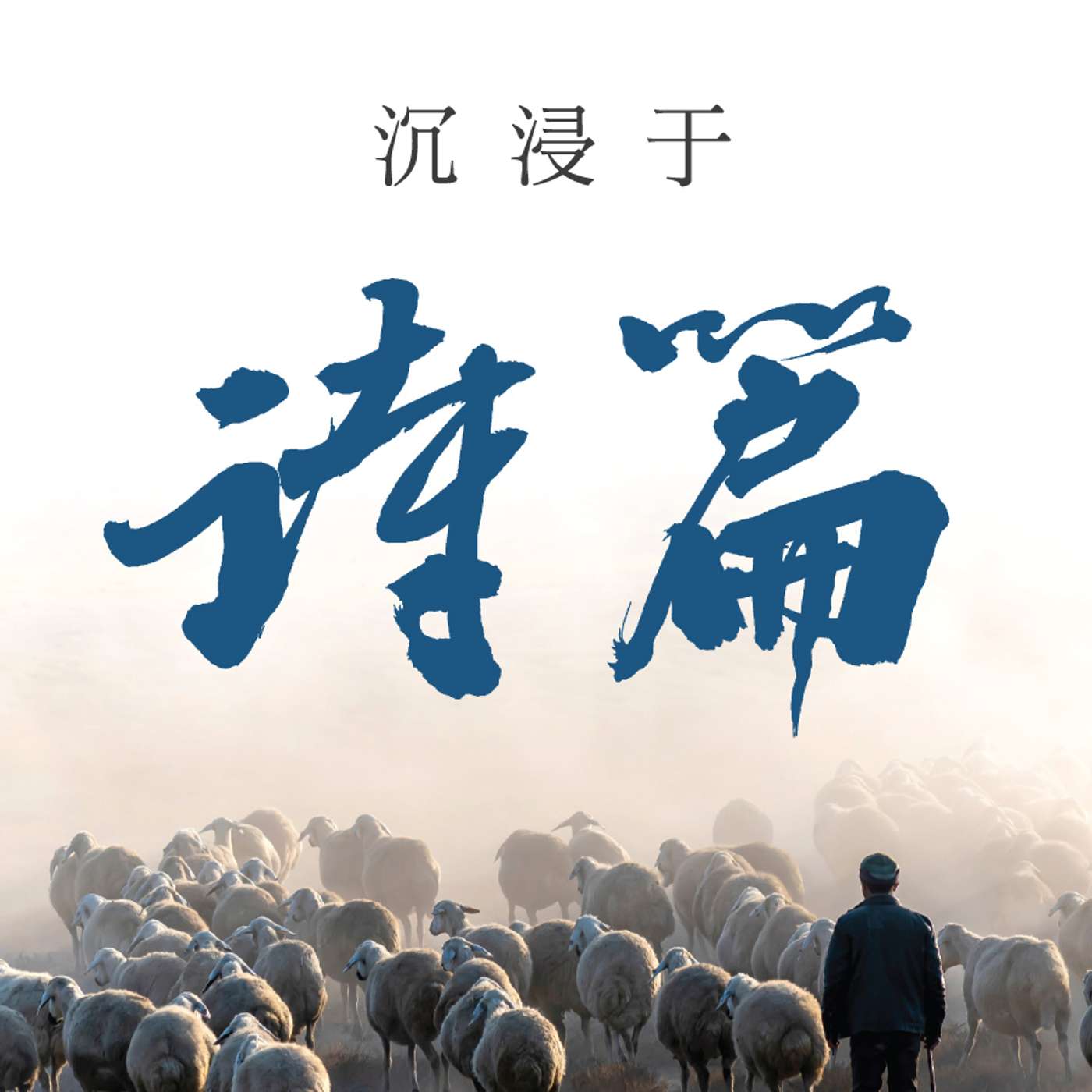 沉浸于诗篇 : 第24周 episode artwork