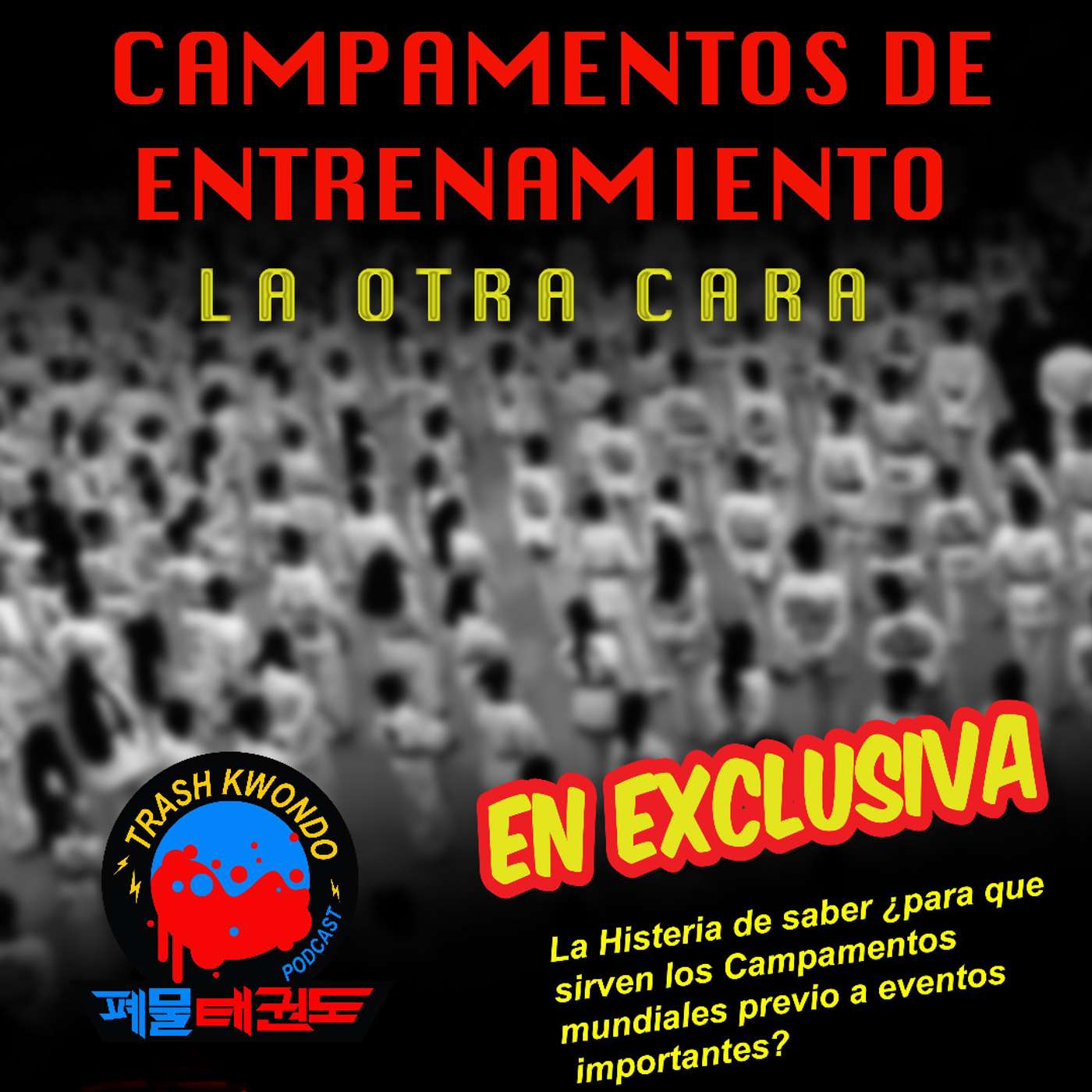 Campamentos de entrenamiento, la otra cara episode artwork