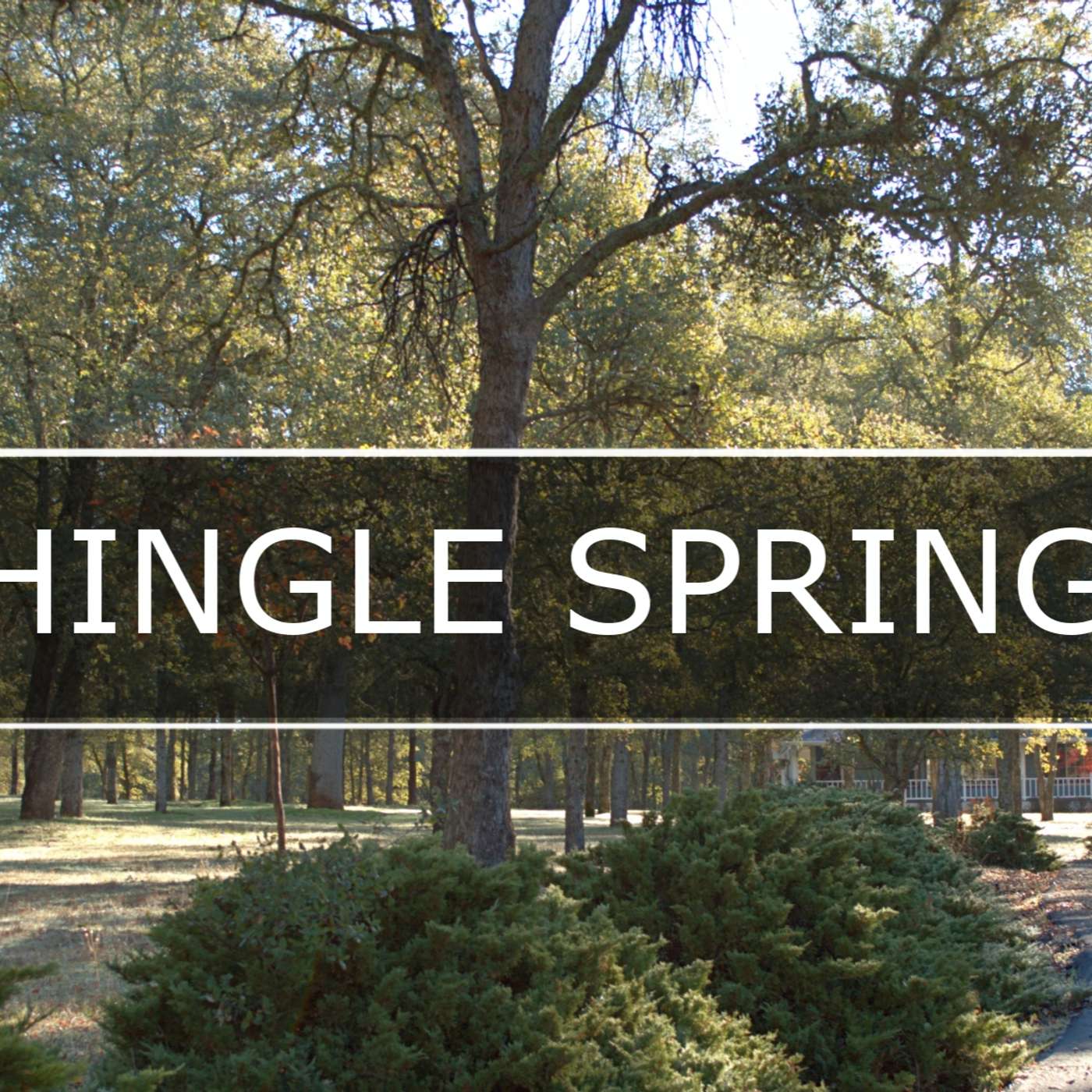 Episode 20: Shingle Springs episode artwork