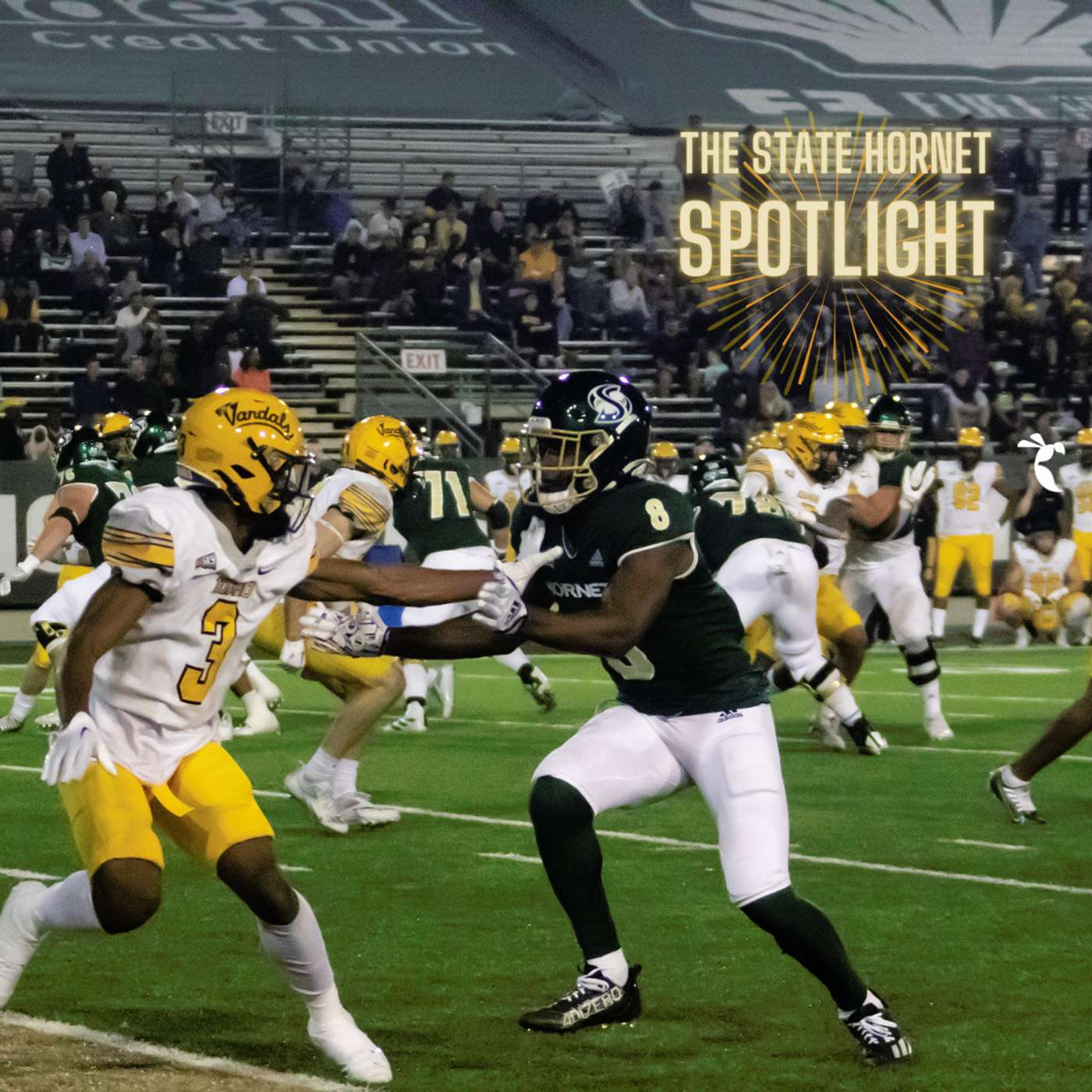 State Hornet Spotlight: Jared Gipson’s breakout season and TikTok success episode artwork