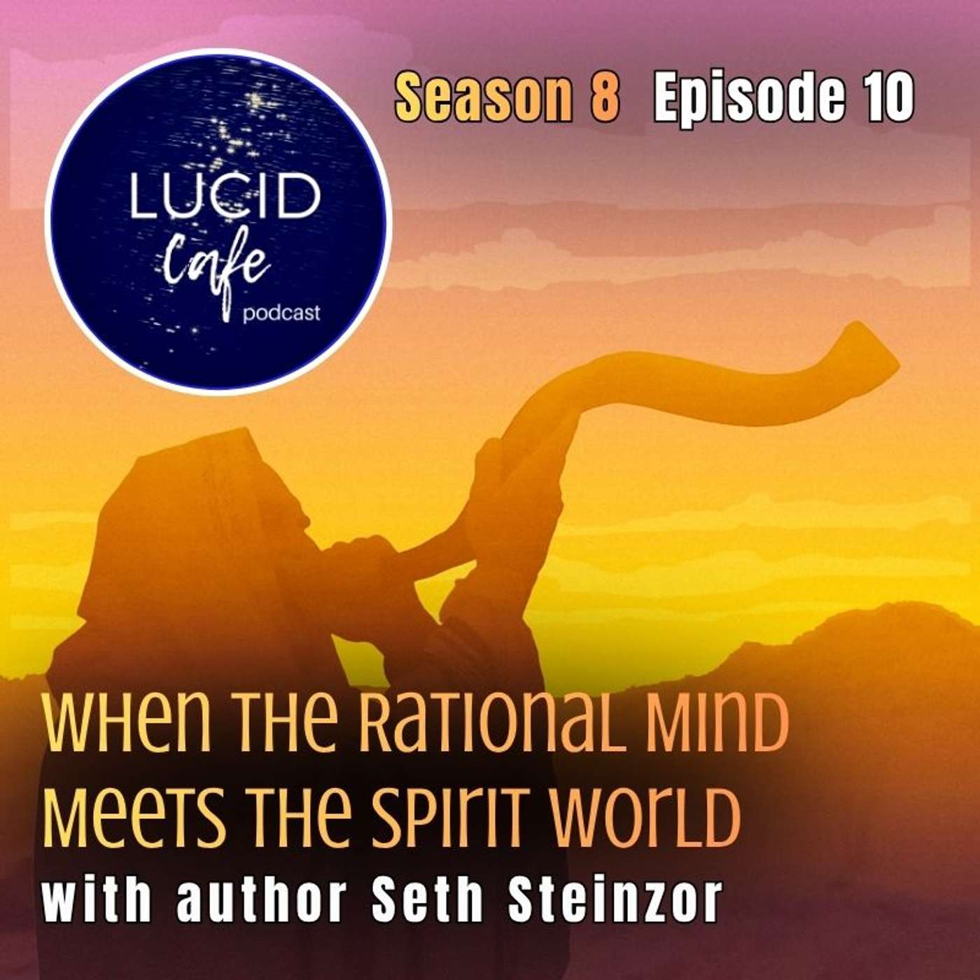When the Rational Mind Meets the Spirit World with author Seth Steinzor When the Rational Mind Meets the Spirit World with author Seth Steinzor