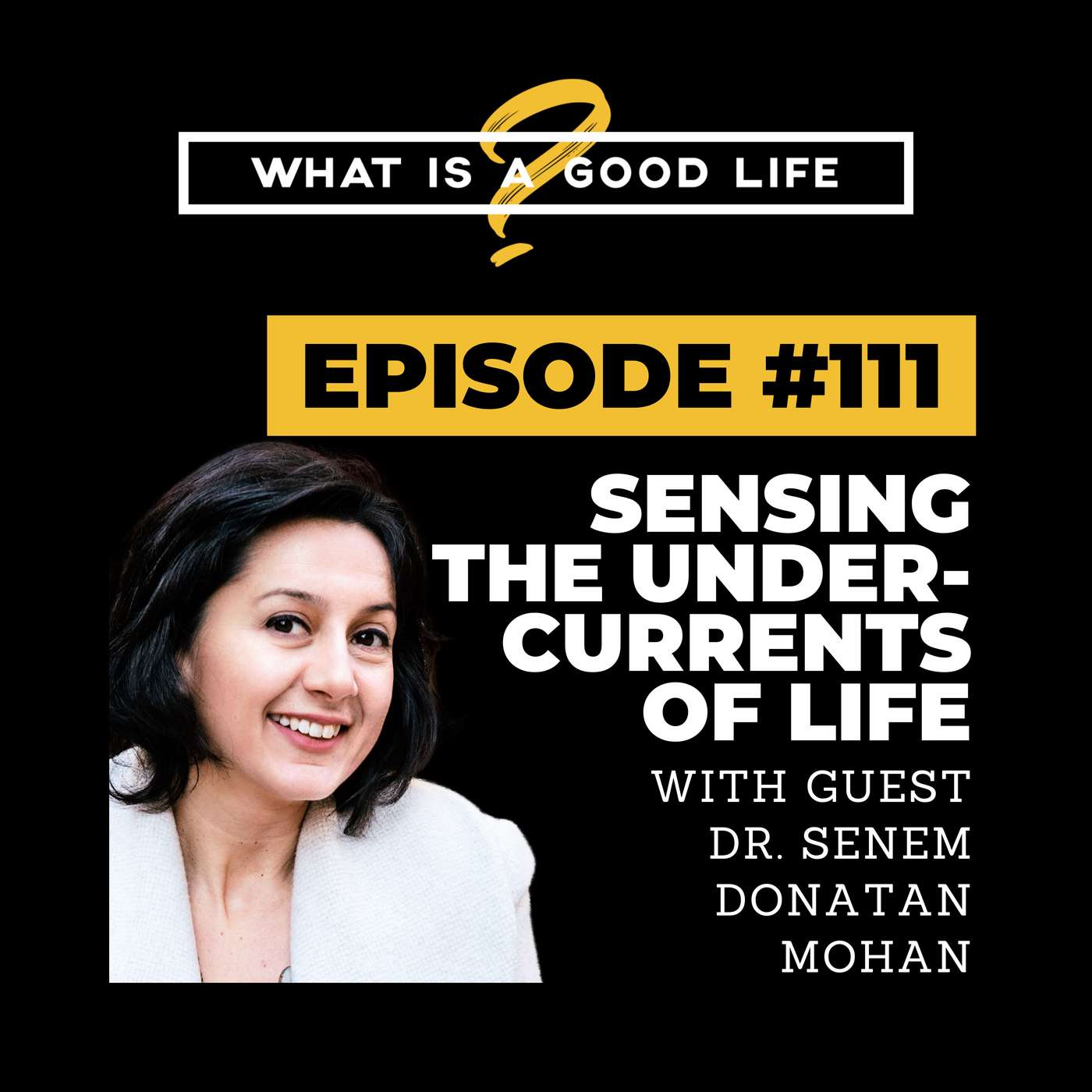 What is a Good Life?